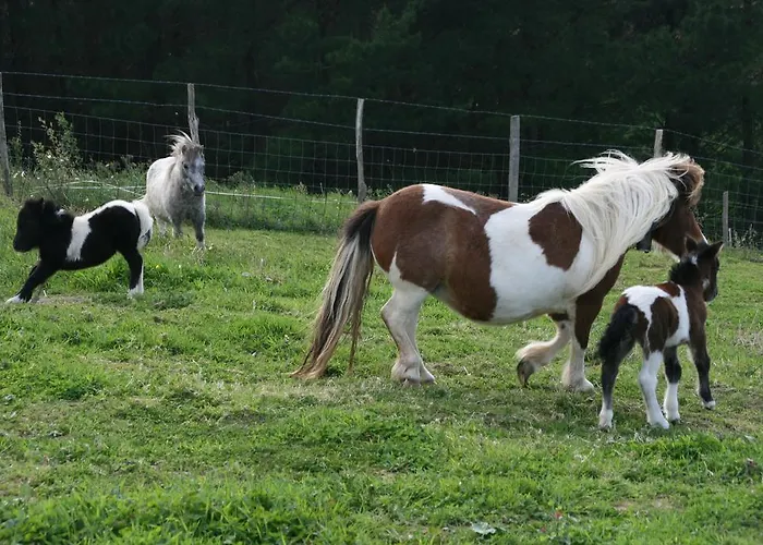 Casa Rural PikuaCasa Rural